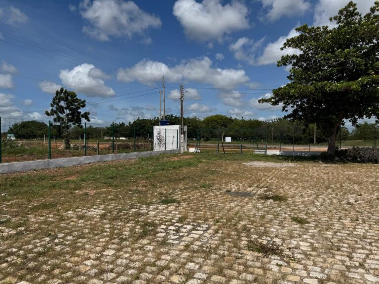 WhatsApp Image 2025-04-29 at 10.58.18 (3)